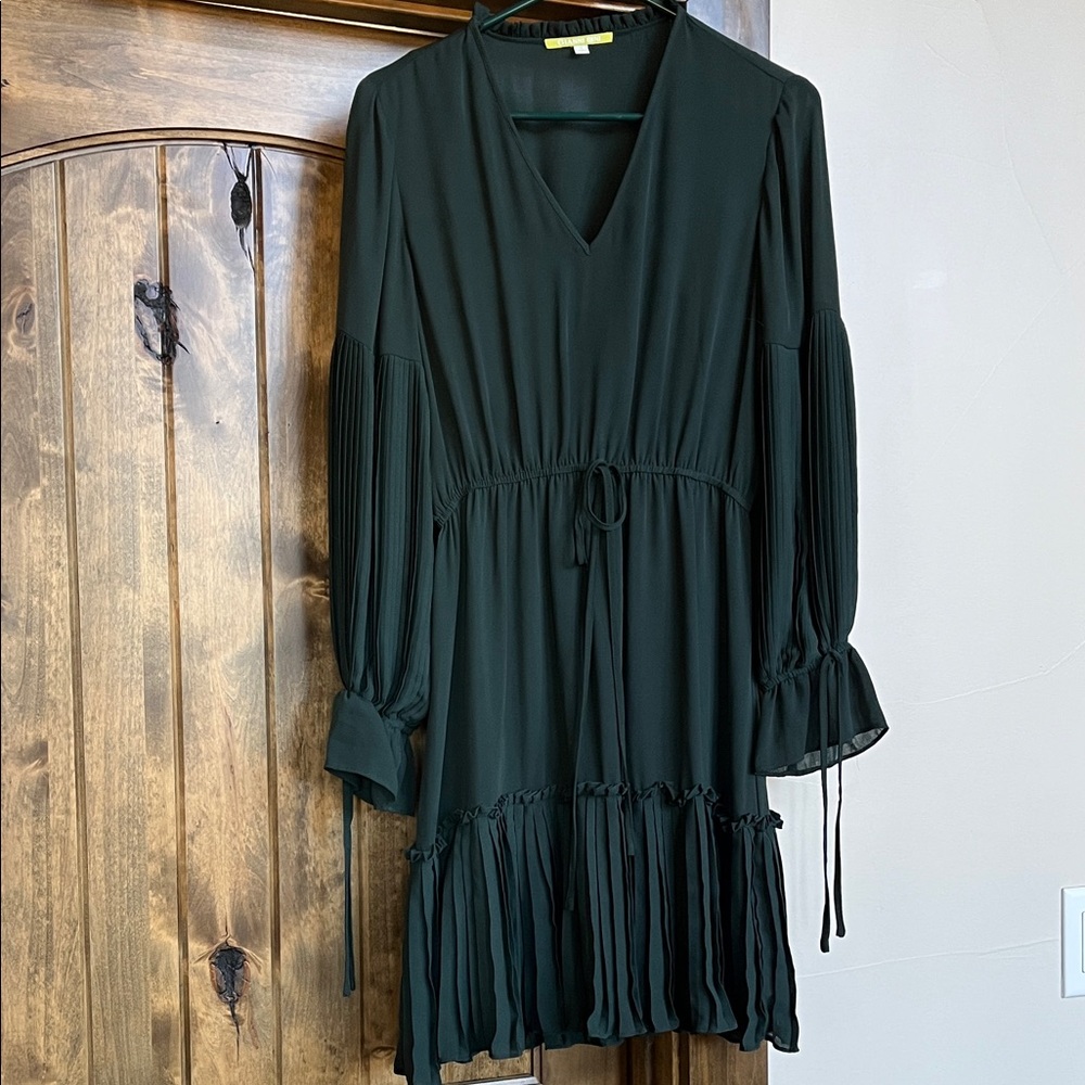 Gianni Bini Dark Green Long Sleeve Dress